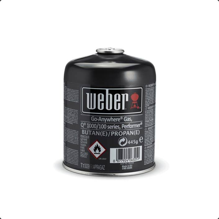 Weber Go-Anywhere Gas